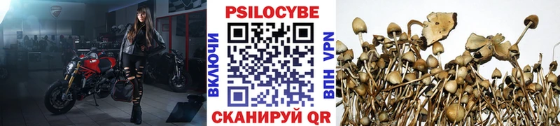Псилоцибиновые грибы ЛСД  Ялуторовск 